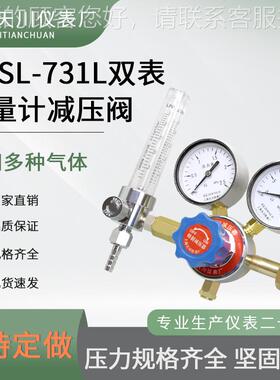 双标准气体流量计减压阀压力表YQSL-7310-1LL-表5L 25L钢.瓶流1量