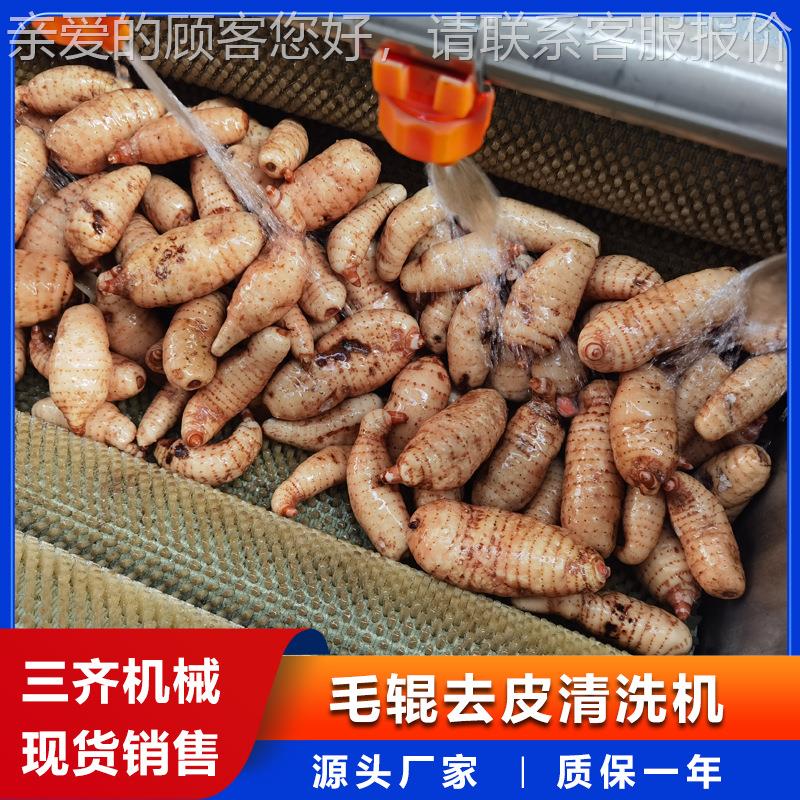 供应中药材动清机自 辣根莴苣XVQ去泥清瓜洗机 食堂冬南洗瓜去皮