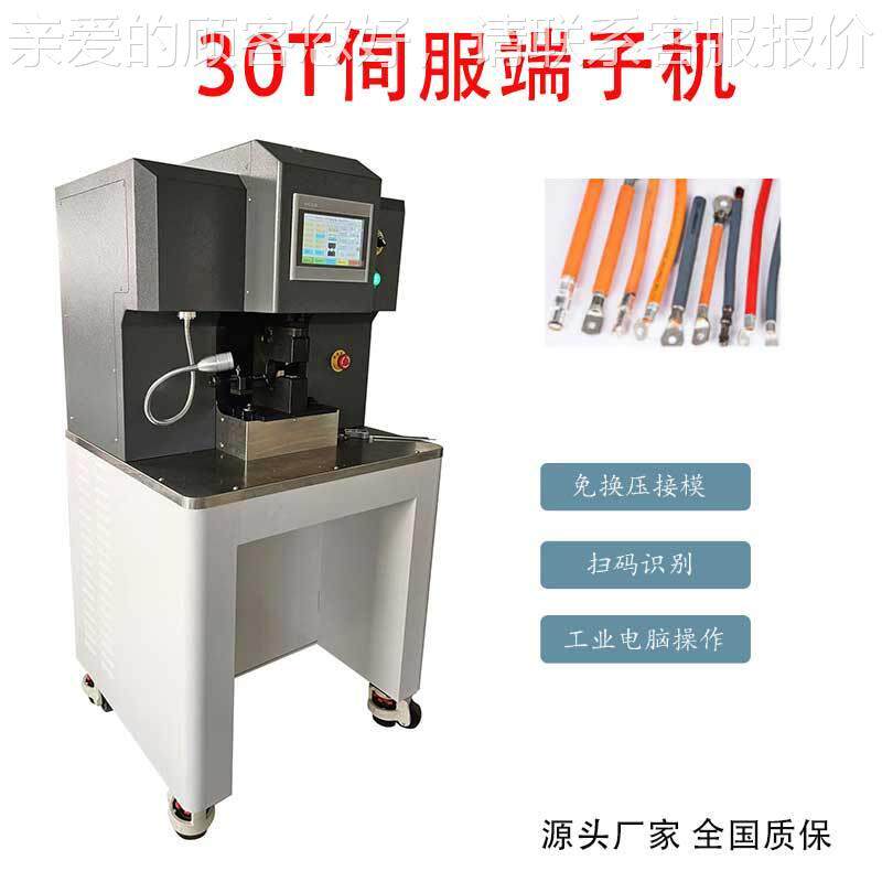 浙江服厂家-DZJ4930T子新能源伺端子机大方端铆压平机六边形免换