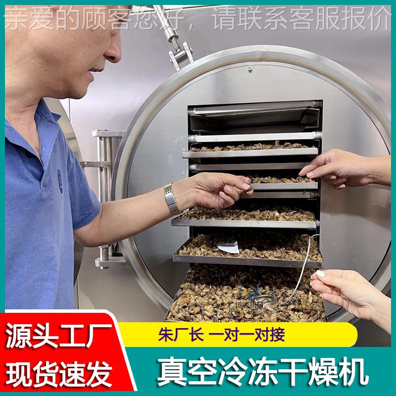 婴儿HSDG-1辅食零真空冻干机 海材鲜中食药花叶大厂型真空冻干机