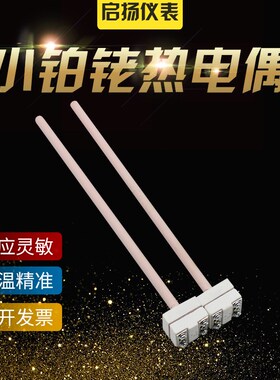 铂铑热电偶S型小铂铑热电偶耐高温刚玉热电偶WRP-10Q0 S型 B型 R