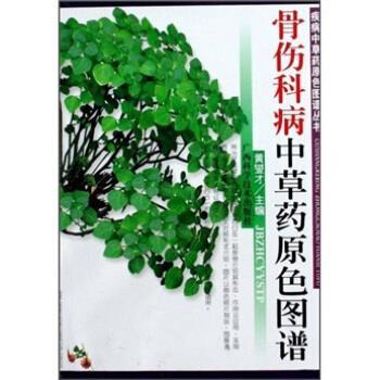 【正版书籍】 骨伤科病中草药原色图谱 黄燮才 著 广西科学技术出版社