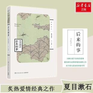 【正版书籍】 后来的事 夏目漱石,博集天卷出品 湖南文艺出版社