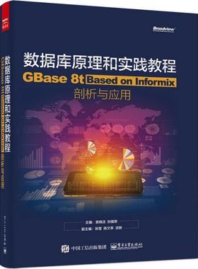 【正版书籍】 数据库原理和实践教程:GBase 8t 袁晓洁 主编 电子工业出版社
