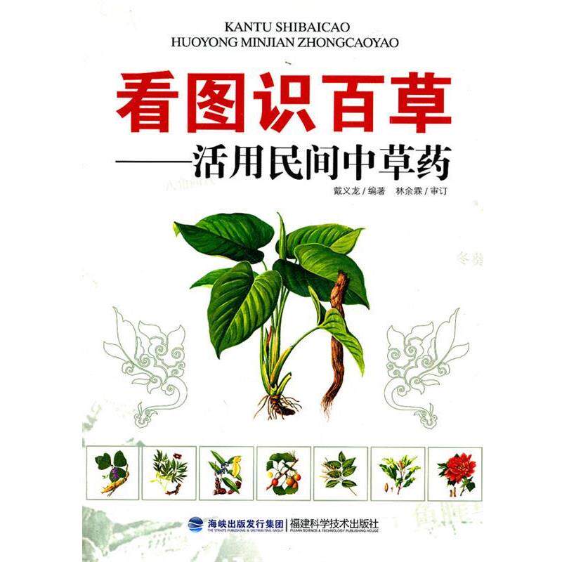 【正版书籍】 看图识百草活用民间中草药 戴义龙 编著 福建科技出版社