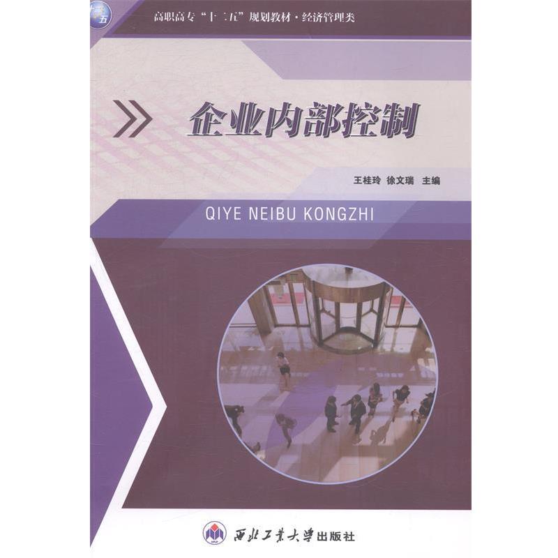 【正版书籍】 企业内部控制 王桂玲, 徐文瑞 西北工业大学出版社