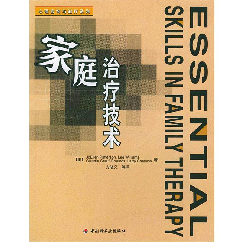 【正版书籍】 家庭治疗技术 (美)帕特森(Patterson,J.) 著,方晓义 等译 中国轻工业出版社