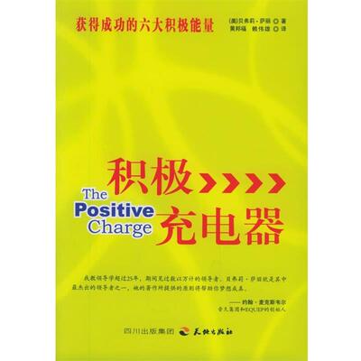 【正版书籍】 积极充电器 (美)贝弗莉·萨丽 著,黄邦福,赖伟雄 译 天地出版社