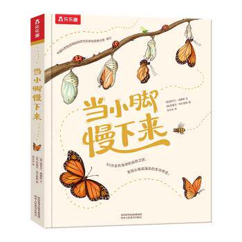 【正版书籍】 当小脚慢下来 张木天 译 陕西未来出版社