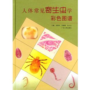 【正版书籍】 人体常见寄生虫学彩色图谱 朱爱辛,孙朝晖,张卫云 著 广东人民出版社