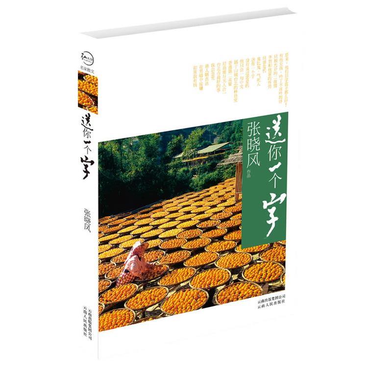 【正版书籍】 送你一个字 张晓风 著 云南人民出版社