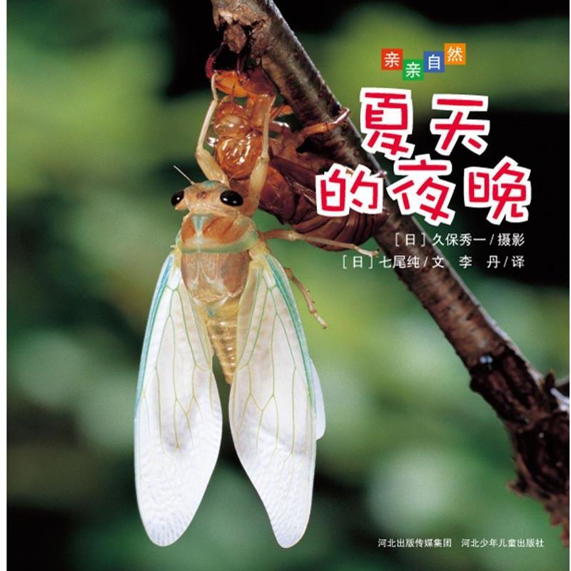 【正版书籍】 亲亲自然 夏天的夜晚 七尾纯 河北少年儿童出版社
