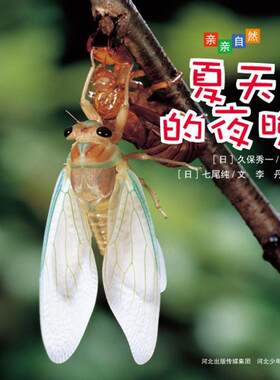 【正版书籍】 亲亲自然 夏天的夜晚 七尾纯 河北少年儿童出版社