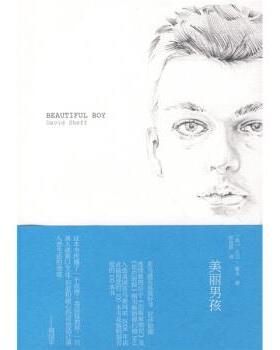 【正版书籍】 美丽男孩 [美] 谢夫（Sheff D.） 著,陈俊群 译 上海译文出版社