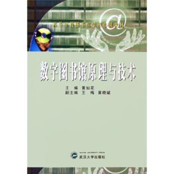 【正版书籍】 高等学校图书馆学核心课教材:数字图书馆原理与技术 黄如花,王梅,黄晓斌 著 武汉大学出版社