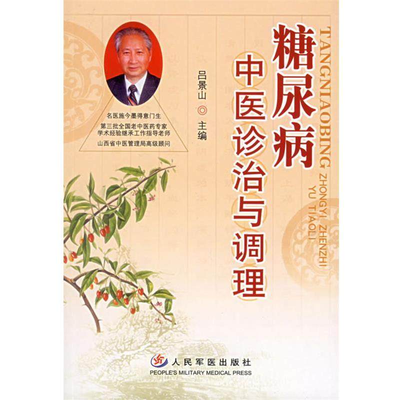 【正版书籍】 糖尿病中医诊治与调理 吕景山 主编 人民军医出版社