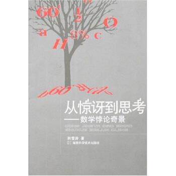【正版书籍】 从惊讶到思考:数学悖论奇景 韩雪涛 著 湖南科学技术出版社