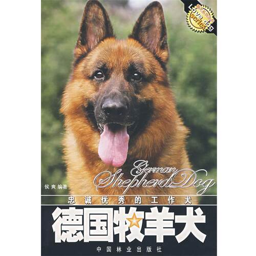 【正版书籍】 忠诚优秀的工作犬:德国牧羊犬 侯爽 编著 中国林业出版社