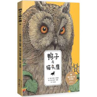 【正版书籍】 鸭子与猫头鹰 (瑞士) 汉娜约翰森 文,(瑞士) 凯蒂班德 图,尤岚岚 译 漓江出版社