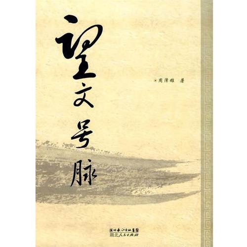 【正版书籍】 望文号脉 周泽雄 著 湖北人民出版社