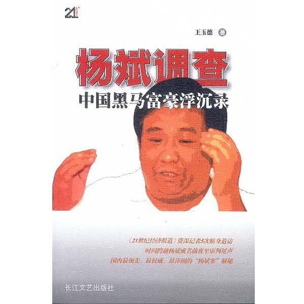 【正版书籍】 杨斌调查:中国黑马富豪浮沉录 王玉德 长江文艺出版社