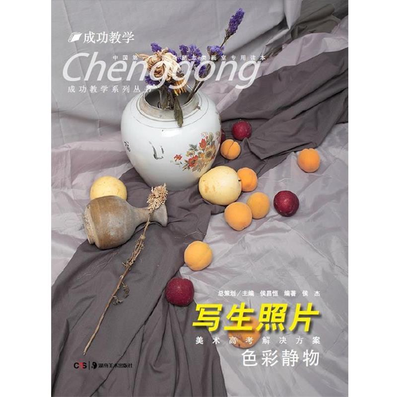 【正版书籍】 成功教学系列丛书 美术高考解决方案:写生照片 色彩静物 侯昌恒 主编 湖南美术出版社