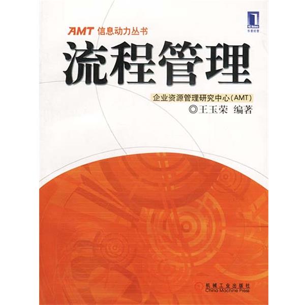 【正版书籍】 AMT信息动力丛书:流程管理 王玉荣 著 机械工业出版社