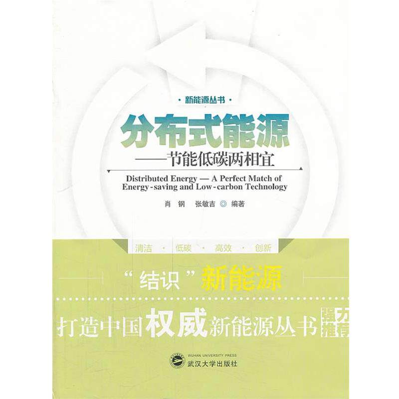 【正版书籍】 分布式能源:节能低碳两相宜 肖钢 , 张敏吉 编著 武汉大学出版社