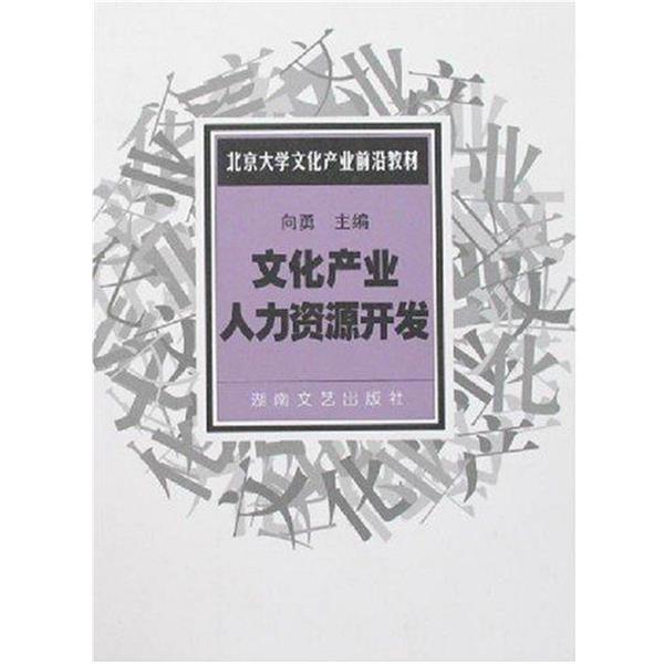 【正版书籍】 文化产业人力资源开发 向勇 著 湖南文艺出版社