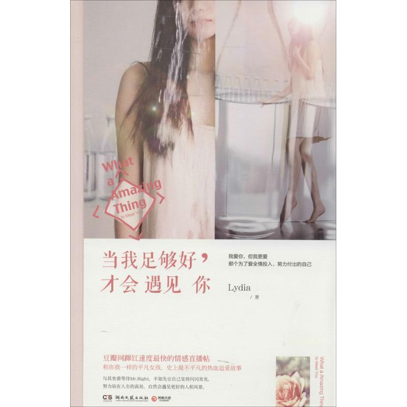 【正版书籍】 当我足够好,才会遇见你 Lydia 湖南文艺出版社