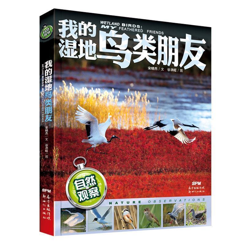 【正版书籍】 自然观察: 我的湿地鸟类朋友 宋晓杰,谷洪旺 新世纪出版社