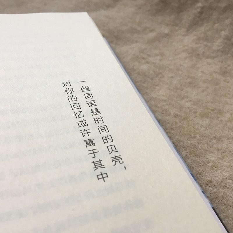 【正版书籍】 天使的忧伤 (冰)约恩·卡尔曼·斯特凡松(Jon Kalman Stefansson) 其他出版社