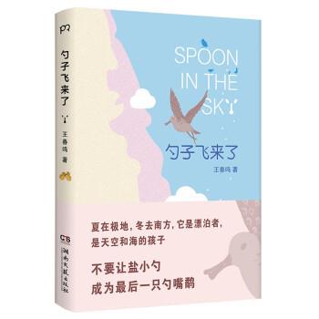【正版书籍】 勺子飞来了 王春鸣 湖南文艺出版社