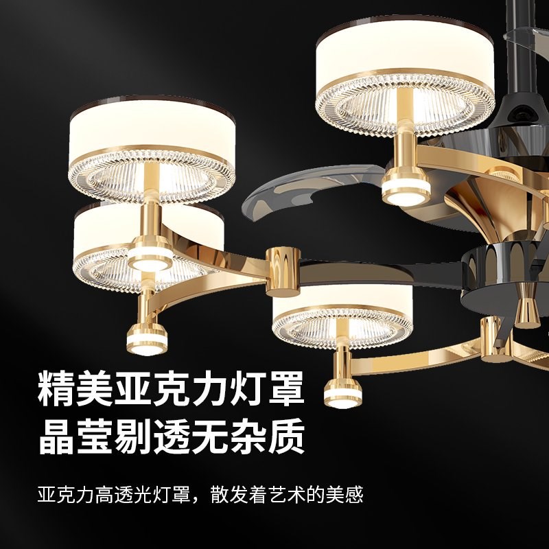 励昌家装灯饰意式极简轻奢吸顶风扇灯高端主卧房间客厅餐厅高级感