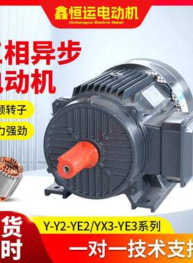 4极YE3三相异步电动机YE3-100L1-4-2.2w全铜交流电机