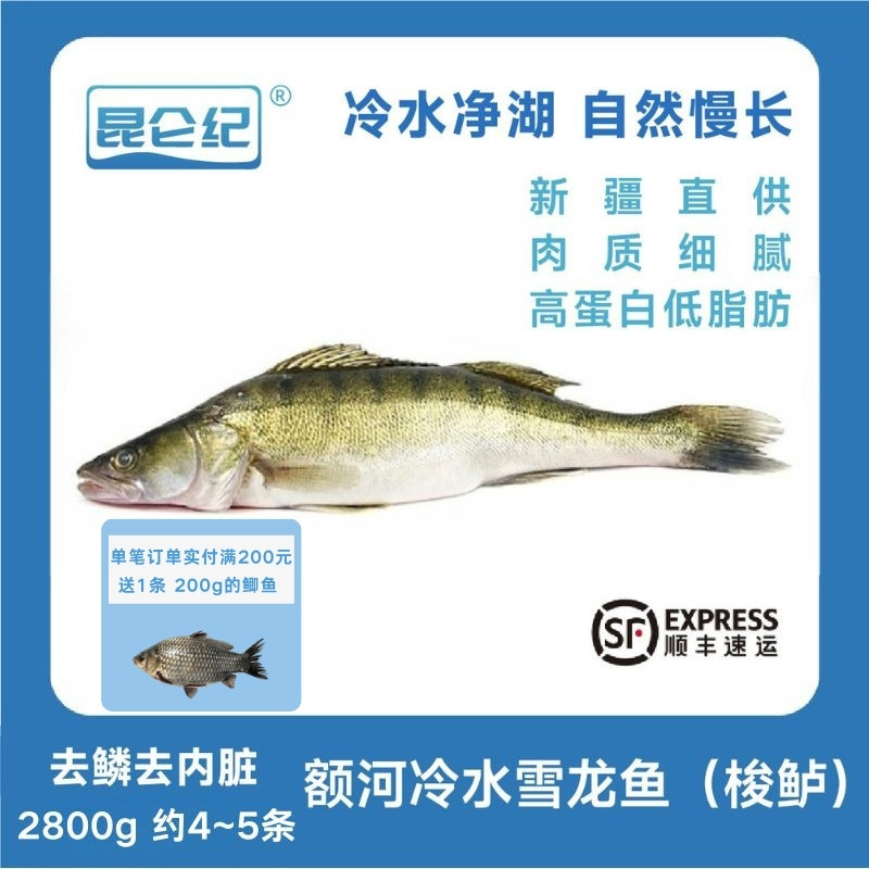昆仑纪新疆额尔齐斯河冷水梭鲈鱼整条鱼装急冻锁鲜去鳞去内脏
