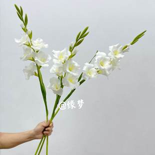 剑兰花仿真花装饰摆件花卉高档假花高级感客厅落地大花瓶插花婚庆