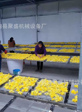 玫瑰花烘干机山银花菊花连续烘干房金丝皇菊烘干设备金银花烘干机