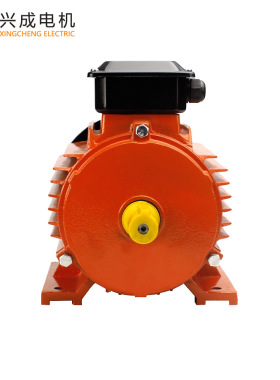 Y2 160M1转数2930转电压220V 380V 2极11kw卧式三相异步电动机