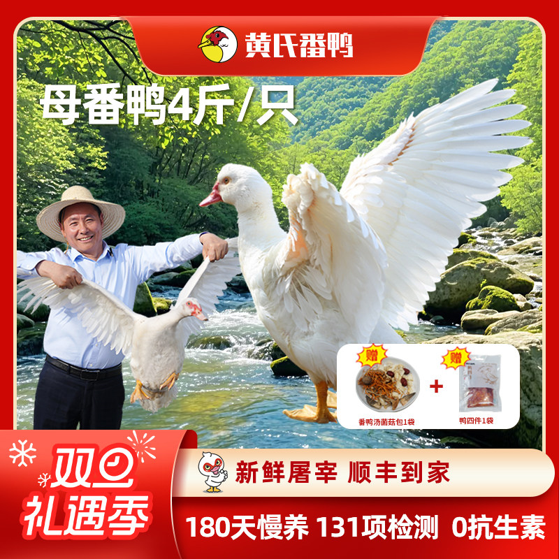 黄氏母番鸭老母鸭土鸭桃溪散养180天红脸鸭姜母鸭新鲜鸭肉顺丰,水产肉类/新鲜蔬果/熟食,鸭肉/鸭肉制品,淘宝优惠券,粉丝福利购,淘宝优惠卷