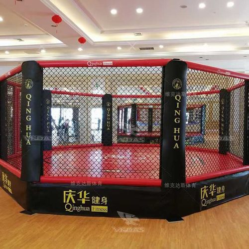拳击擂台八角笼格斗笼A标准赛散打落地式自由赛可定制散打拳击