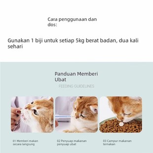 保真@脸谱炎症大师宠物猫狗消炎口炎病毒性细菌性炎症顽固性炎症