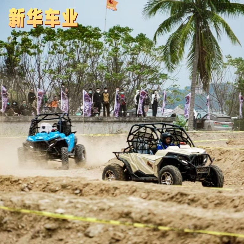 沙滩汽油V四驱800cc越野车丛林穿越沙漠沙滩车双排4座AV