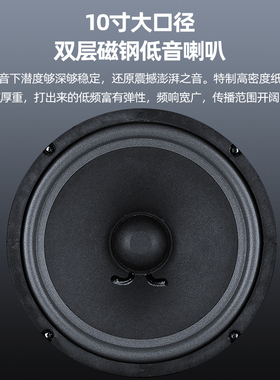 Yacare/雅桥 CS-450专业卡拉OK音响会议KTV家庭用卡包音箱设备/只