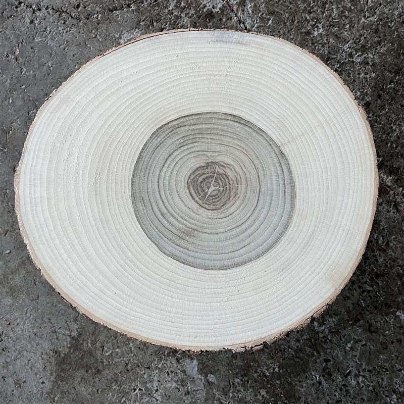 香樟实木墩子原木凳子天然木桩树墩原木桩树桩梓木树墩子底座花架