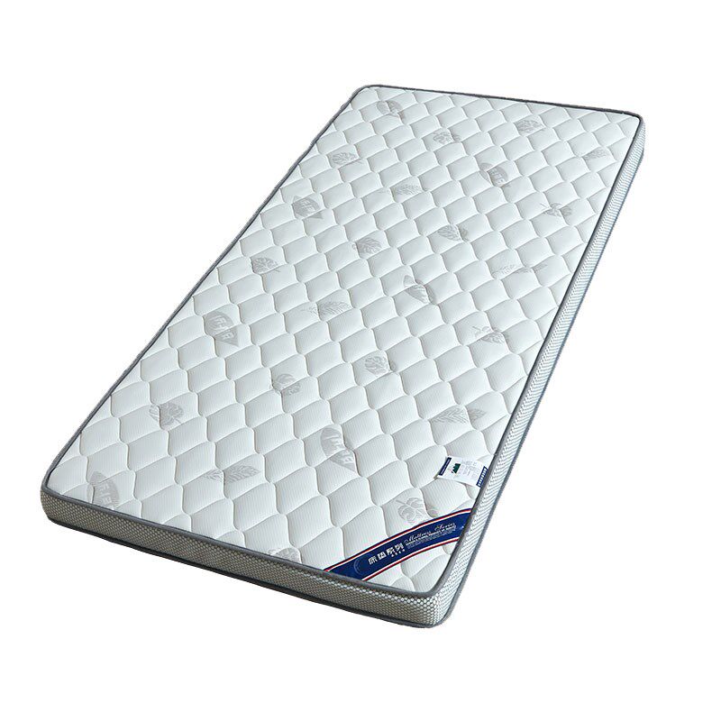 棕垫天然椰棕床垫儿童硬棕榈家用单人床学生宿舍床垫幼儿园床2024