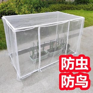 防鸟罩菜园花盆防猫阳台蚊蝇乌多肉草卉幼苗蓝莓种绿植物防虫网罩