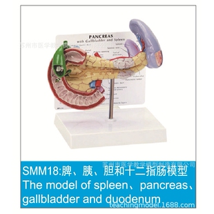 SMM系列促销模型