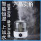 加湿器家用静音卧室空气香薰孕妇婴儿大上加水小型容量大雾量喷雾