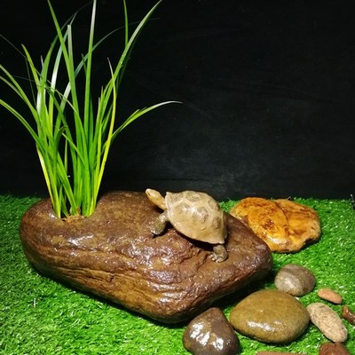 真石头带绿植晒台爬台 乌龟晒背石 沉底水族箱盆栽造景装饰摆件